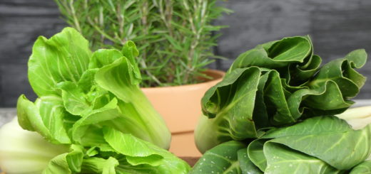 Pak Choi und Mangold