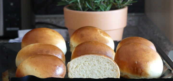 Brioche Hamburger Brötchen