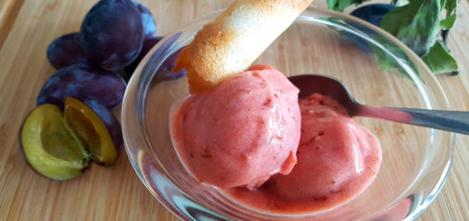 Zwetschgensorbet Rezept