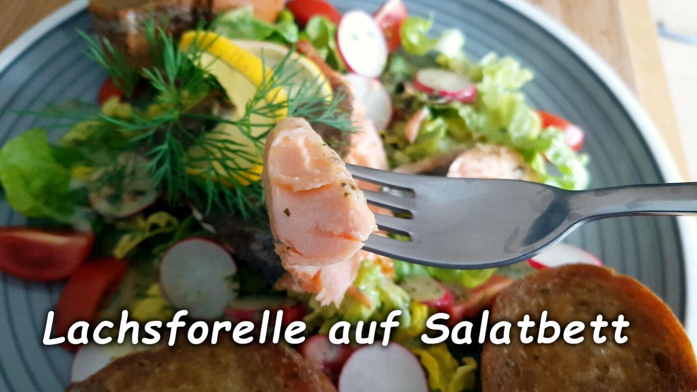 Lachsforelle auf Salat mit Honig Dill Senfdressing - Meiers Kochtipps