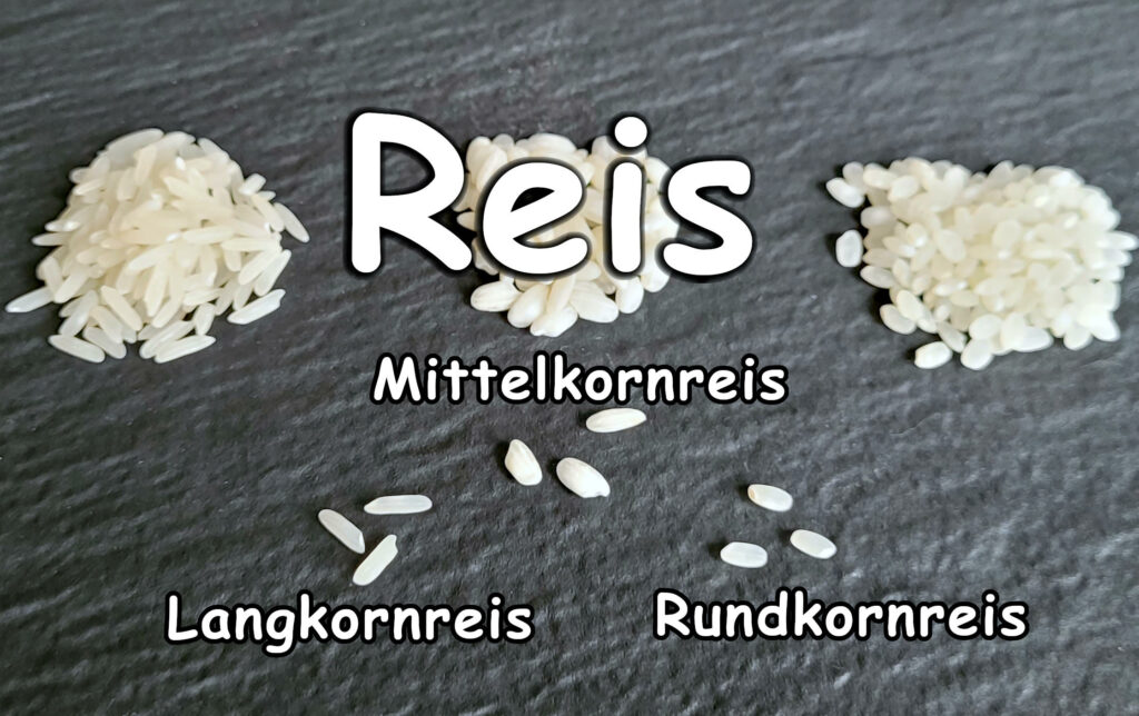 Reis Unterschiede