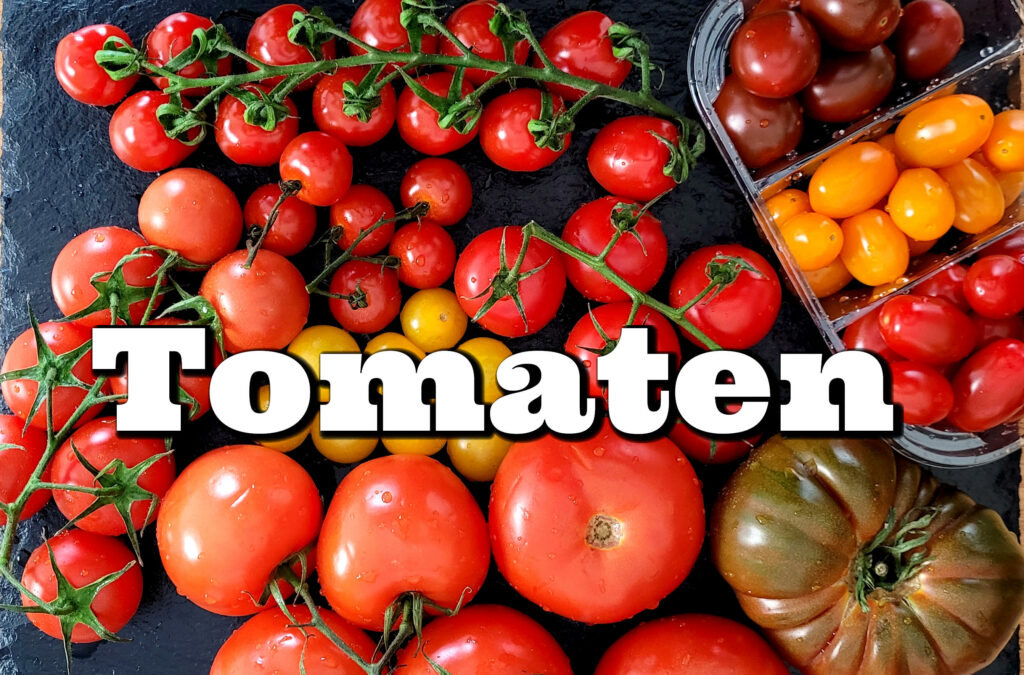 Tomaten Informationen Artikel