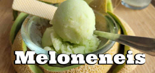 Meloneneis von der Galiamelone Rezept
