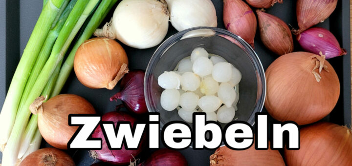 Zwiebelsorten Infos